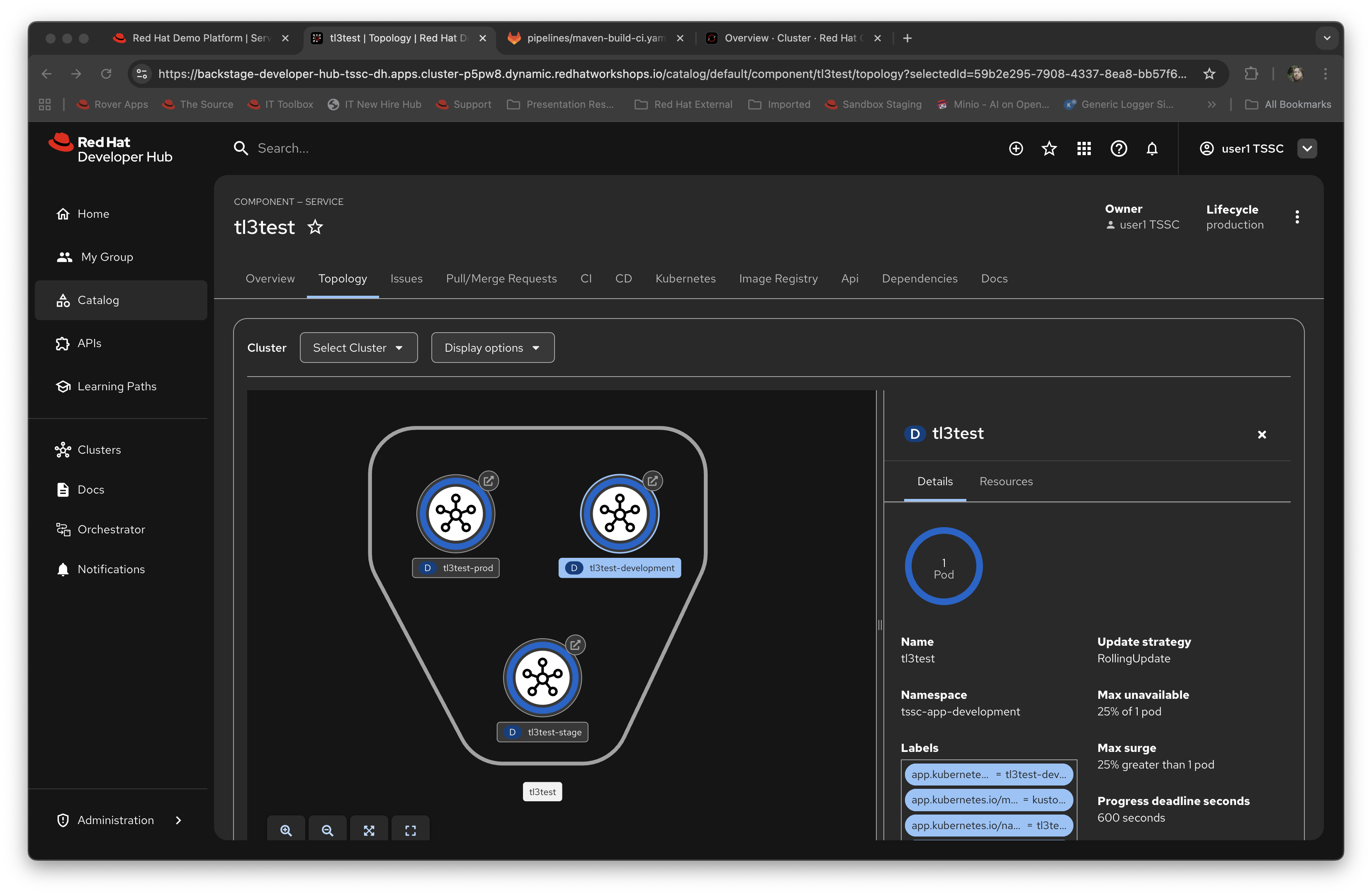 Examining the Topology plugin