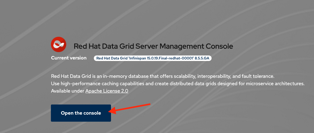 datagrid open console