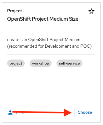 project template