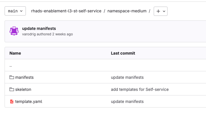 Project template.yaml