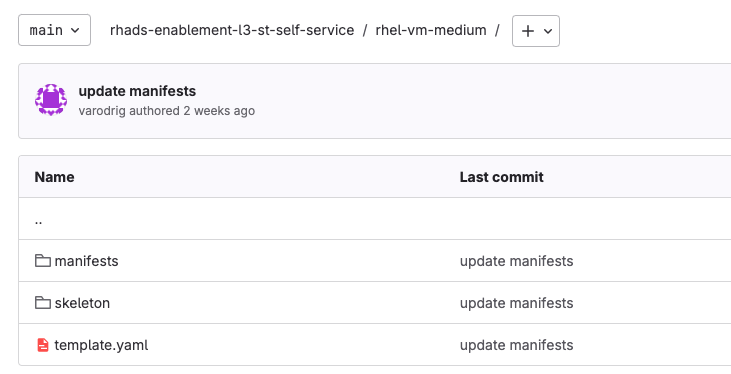 VM template.yaml