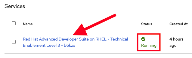 rhel workshop service