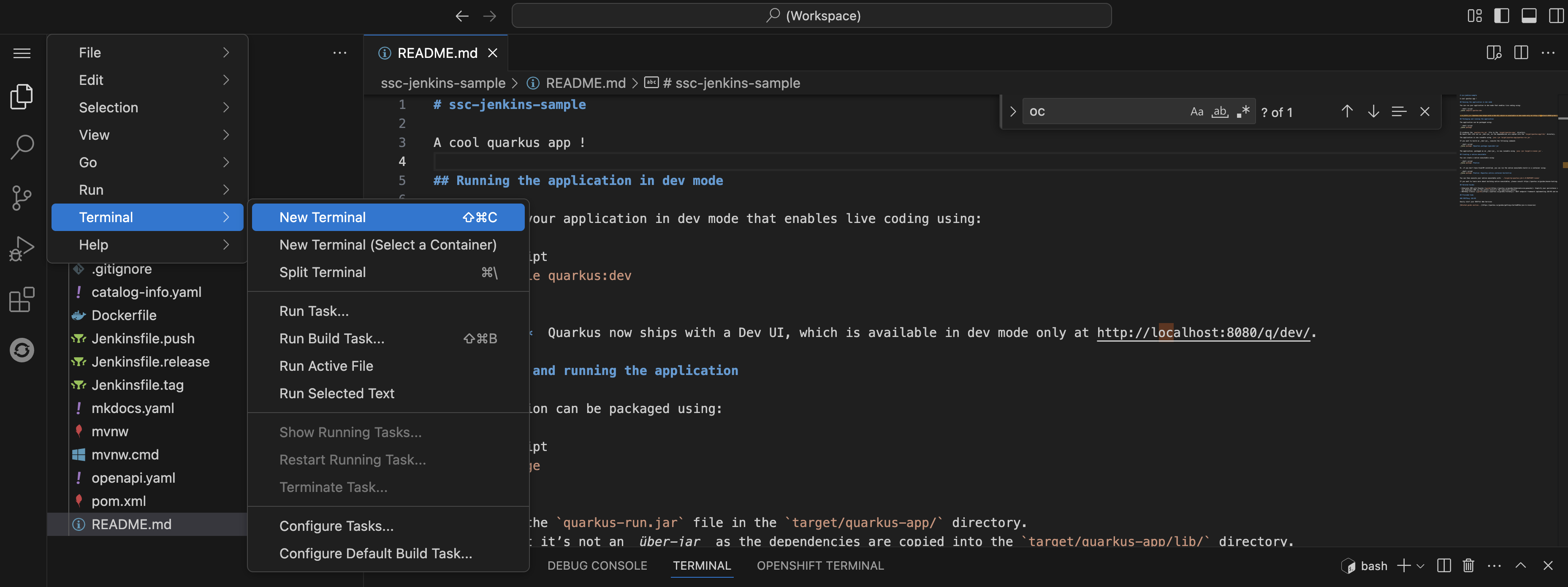 Launch a Terminal in VSCode